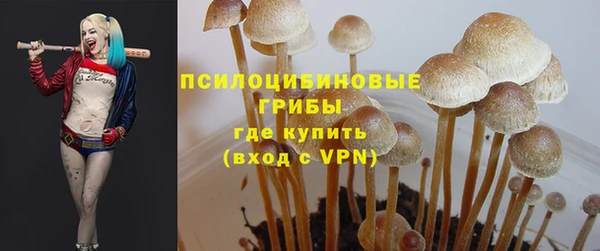 спиды Приозерск