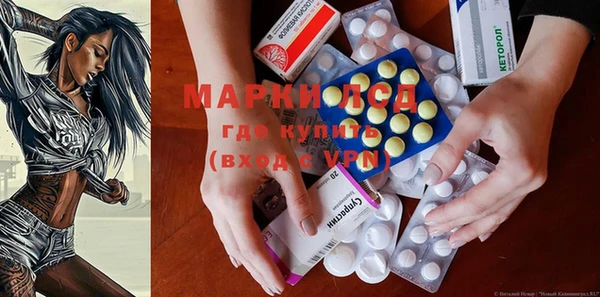 ГАЛЛЮЦИНОГЕННЫЕ ГРИБЫ Корсаков