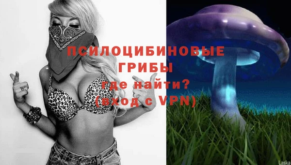 2c-b Свободный
