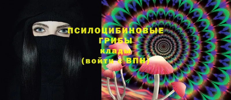 где купить наркотик  Райчихинск  Галлюциногенные грибы Magic Shrooms 